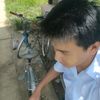 d.lin67