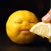 mrbobofacepants