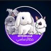 حضائر ساسي