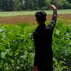 seng.nydavid