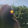 nanzz3747