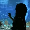 mi_yu_1205