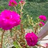 forida.begum015