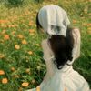 wp..lily_flower012