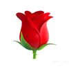 inahassan1230