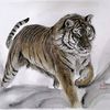 aung.soe8249