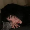 zinuuuuuuu4