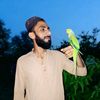 shahzad.bhutto3