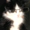 playgames_gaming123456