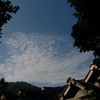 random.video870