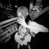 pecint_aau_love