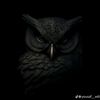 ali.ahmed2475