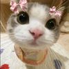 mikhaa_woww