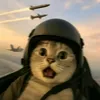 pusang_iiscammer