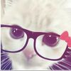 cookie1234247
