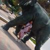 messaoudimohamed71