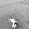 aixopbkef4o
