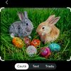 anamaria.ilie65
