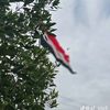 talal5727