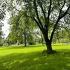 quynnht80