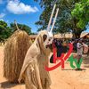 Kaf TV Officiel