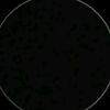 cristian.santos7946