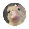 yasmibcxfk7