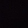 pega_rex7