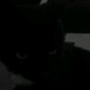 user4012468770446