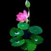 prabodha.sandeepa5