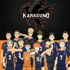 userhaikyuu1