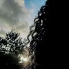 caren0279