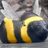 haliff459