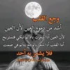 user75208614425371