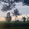 jawarakujawaranya