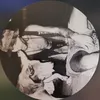 ghostdog096