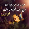 alialiali1985510th