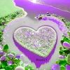 abo.shadi43
