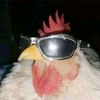user109199422201209