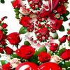 user68103048010977