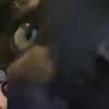 mrerros