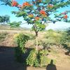 ahmed.zakeriyaa
