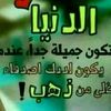 user6910619144233