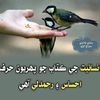 .jatoi519