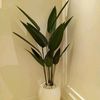 decorative.flower7