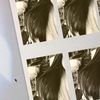 vanhdaphone.spsw