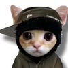 agent_uxf0
