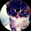 arj.thays_