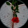 user17938719818540
