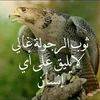 user9210105595612